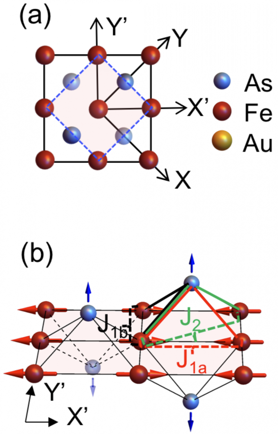 coupling in Febased superconductors Rutgers Laser